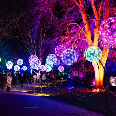 Wisley & Windsor Castle 2026