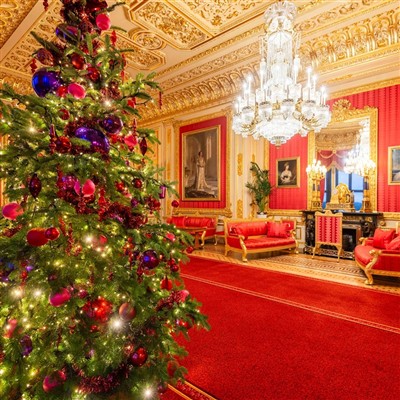 Royal Christmas Glow 2026