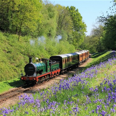 Bluebell, Brighton & Blenheim 2025