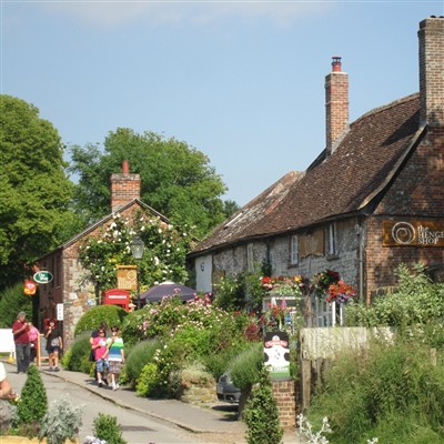 Honeypot Wiltshire 2027