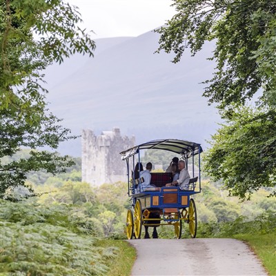 Killarney - 5 Days 2026