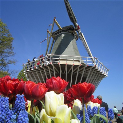 Holland