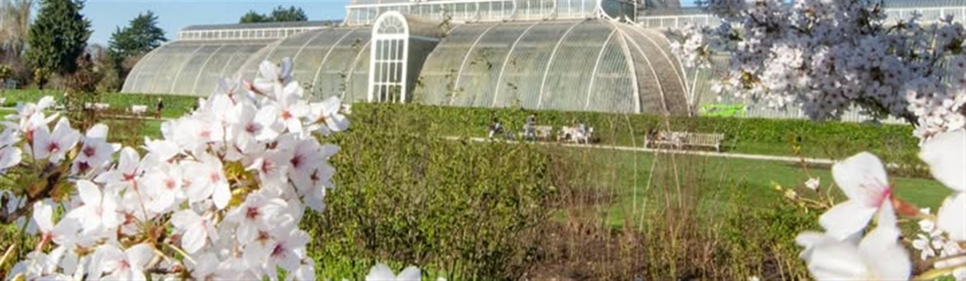 Kew Orchid Festival 2027