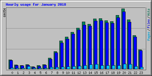 Hourly usage for January 2018